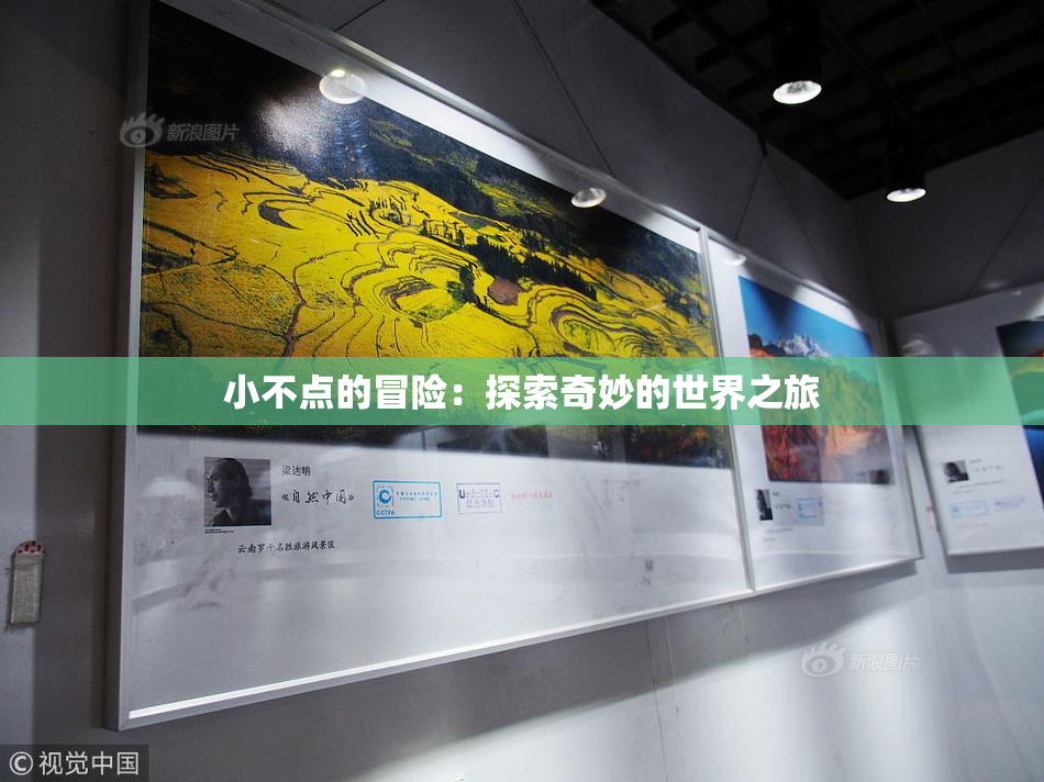 小不点的冒险：探索奇妙的世界之旅