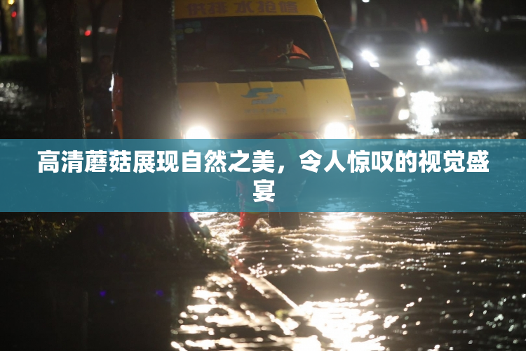 高清蘑菇展现自然之美，令人惊叹的视觉盛宴