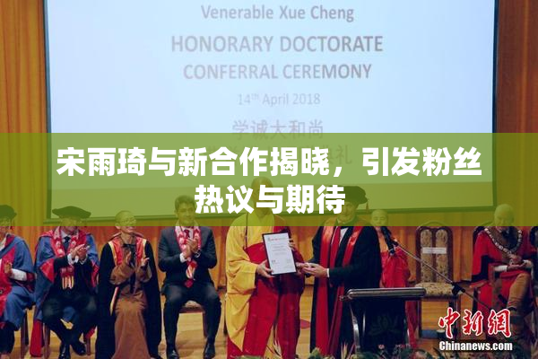 宋雨琦与新合作揭晓，引发粉丝热议与期待