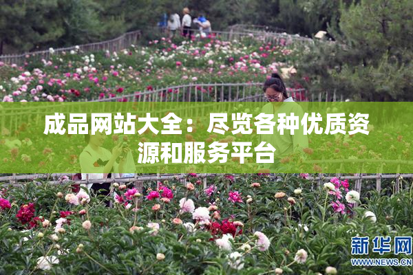 成品网站大全：尽览各种优质资源和服务平台