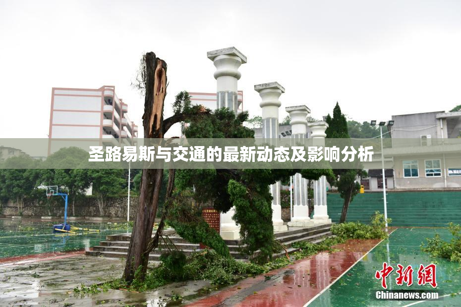 圣路易斯与交通的最新动态及影响分析