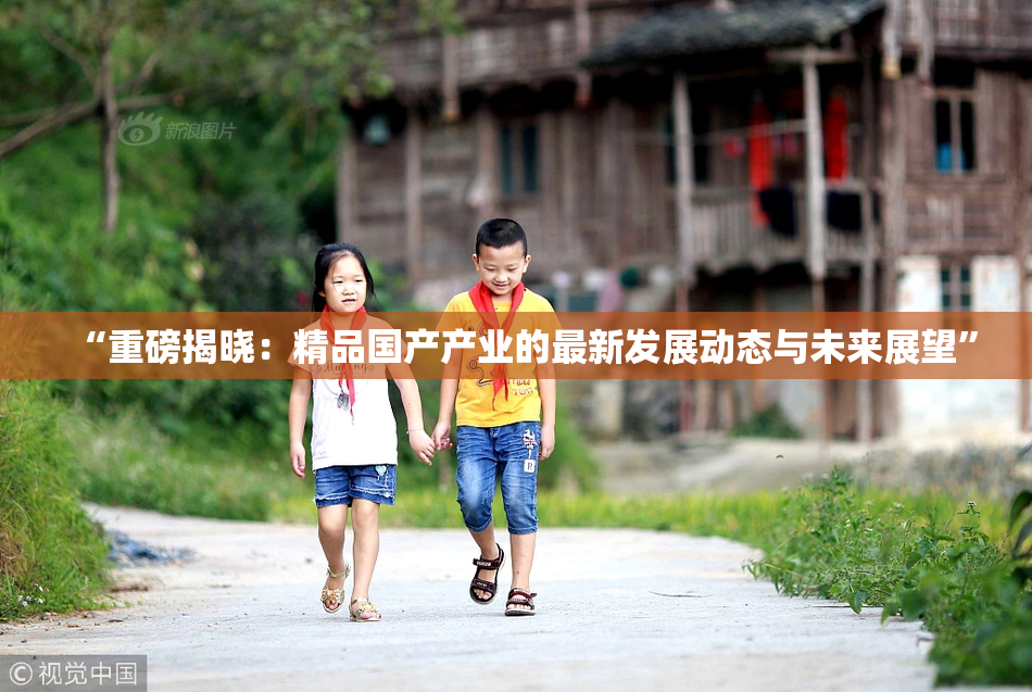 “重磅揭晓：精品国产产业的最新发展动态与未来展望”