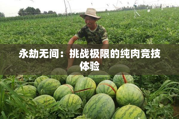 永劫无间：挑战极限的纯肉竞技体验