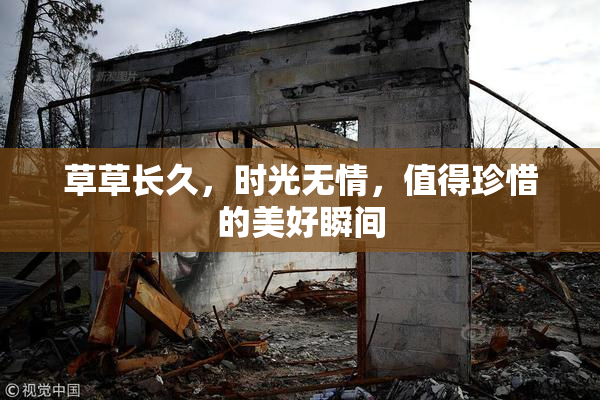 草草长久，时光无情，值得珍惜的美好瞬间