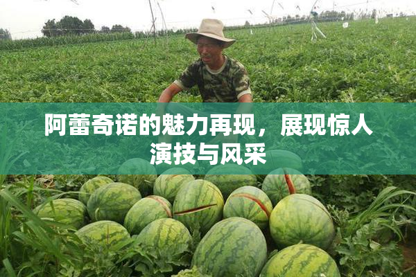 阿蕾奇诺的魅力再现，展现惊人演技与风采