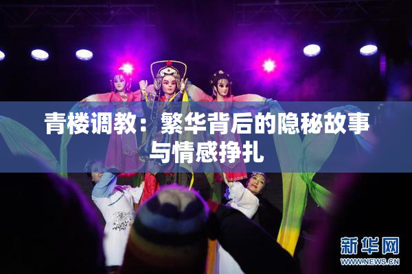 青楼调教：繁华背后的隐秘故事与情感挣扎