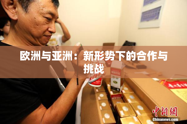 欧洲与亚洲：新形势下的合作与挑战