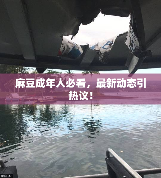 麻豆成年人必看，最新动态引热议！