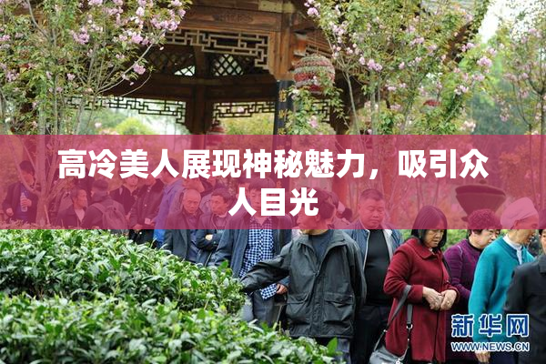 高冷美人展现神秘魅力，吸引众人目光