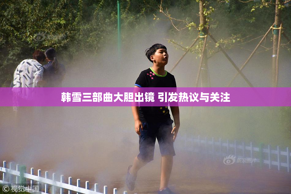韩雪三部曲大胆出镜 引发热议与关注