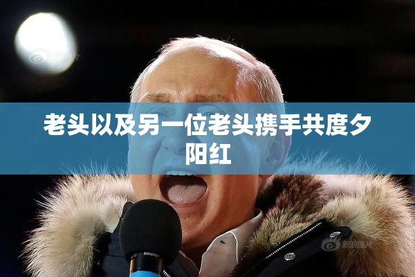 老头以及另一位老头携手共度夕阳红