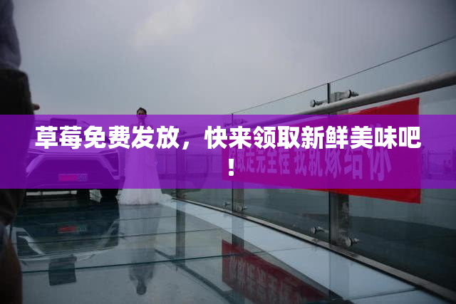 草莓免费发放，快来领取新鲜美味吧！