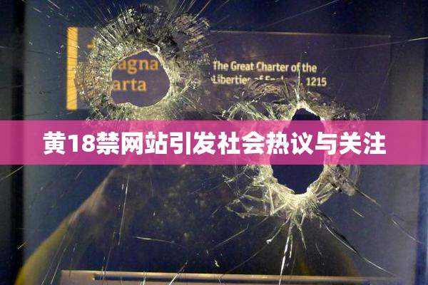 黄18禁网站引发社会热议与关注
