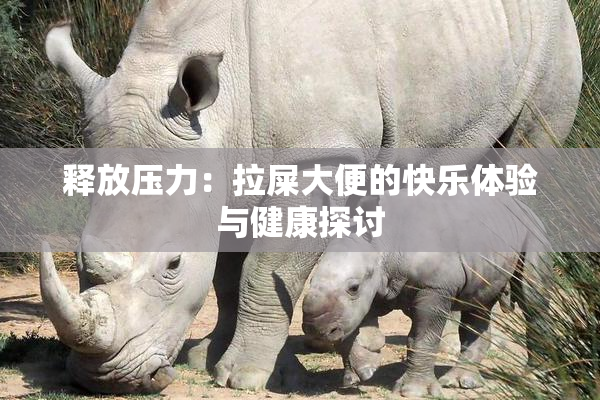 释放压力：拉屎大便的快乐体验与健康探讨
