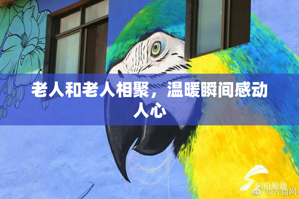 老人和老人相聚，温暖瞬间感动人心