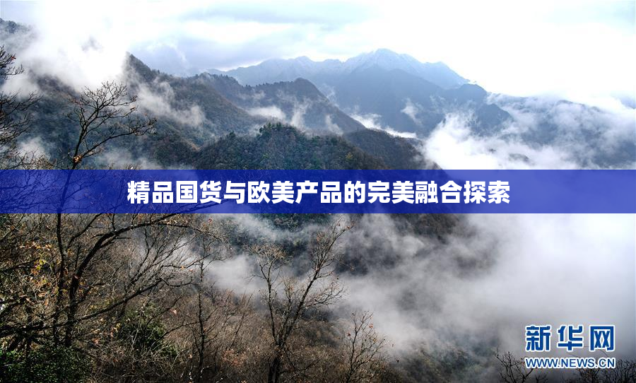 精品国货与欧美产品的完美融合探索