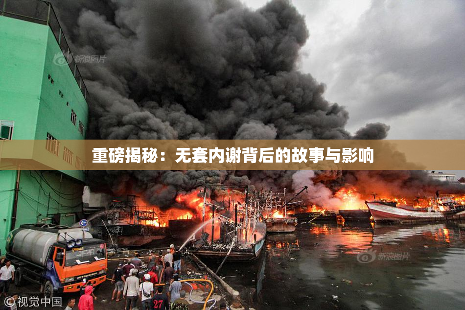 重磅揭秘：无套内谢背后的故事与影响