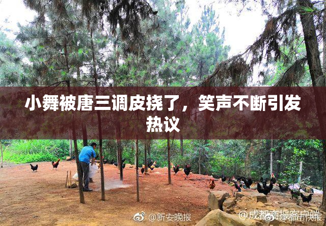 小舞被唐三调皮挠了，笑声不断引发热议