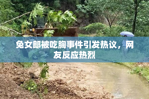 兔女郎被吃胸事件引发热议，网友反应热烈