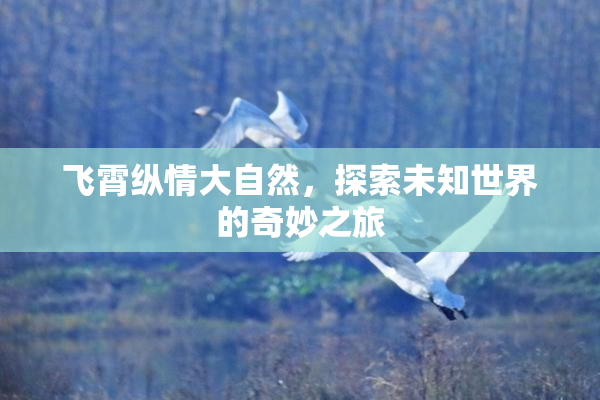 飞霄纵情大自然，探索未知世界的奇妙之旅