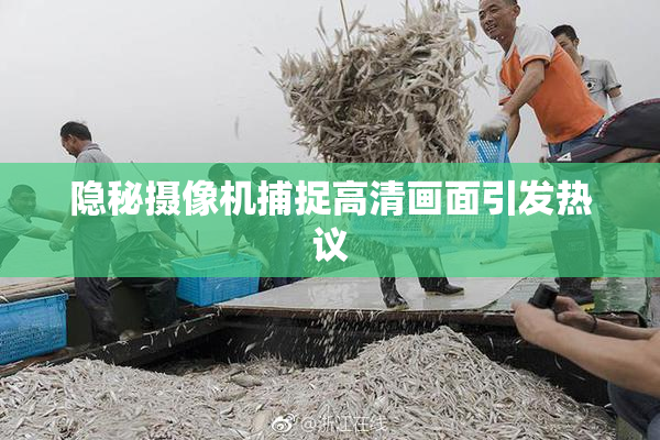 隐秘摄像机捕捉高清画面引发热议