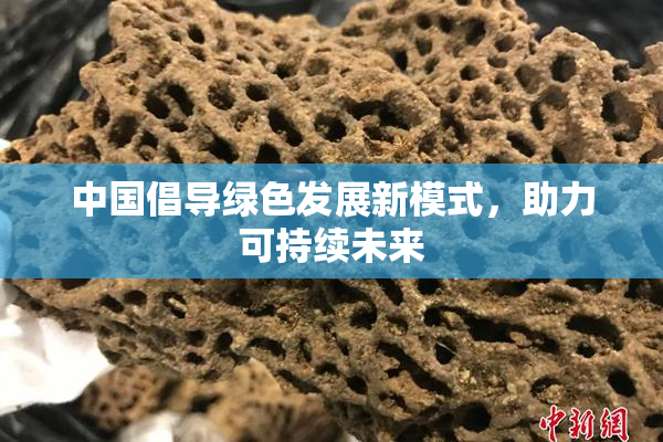 中国倡导绿色发展新模式，助力可持续未来