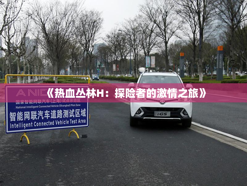《热血丛林H：探险者的激情之旅》