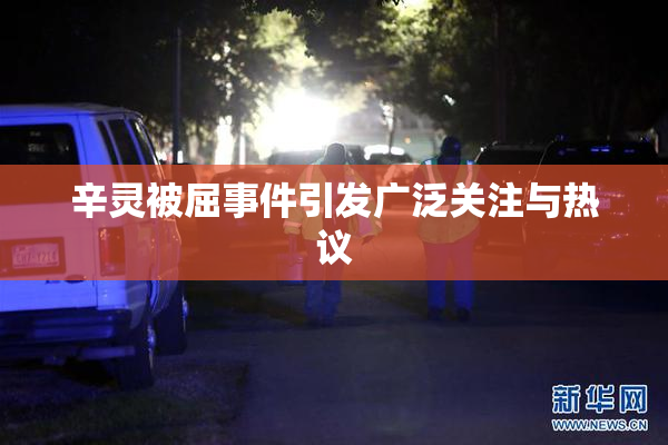 辛灵被屈事件引发广泛关注与热议