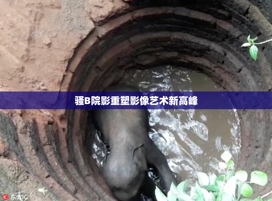 骚B院影重塑影像艺术新高峰