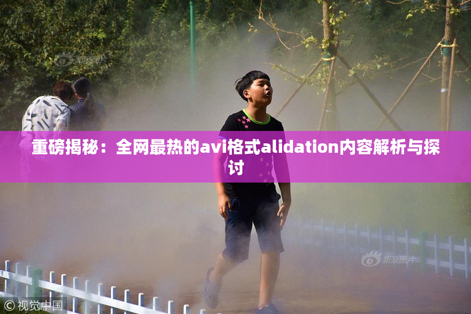 重磅揭秘：全网最热的avi格式alidation内容解析与探讨