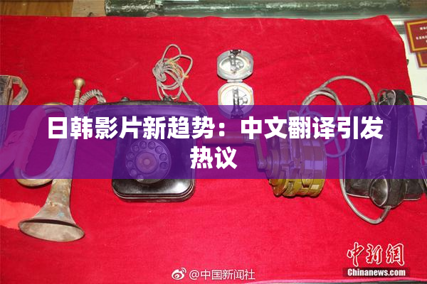 日韩影片新趋势：中文翻译引发热议