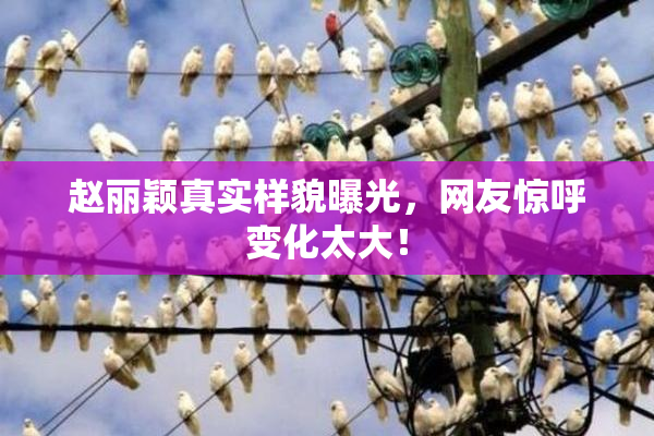 赵丽颖真实样貌曝光，网友惊呼变化太大！