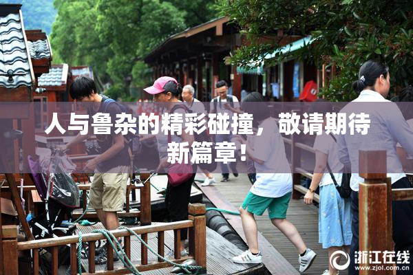 人与鲁杂的精彩碰撞，敬请期待新篇章！