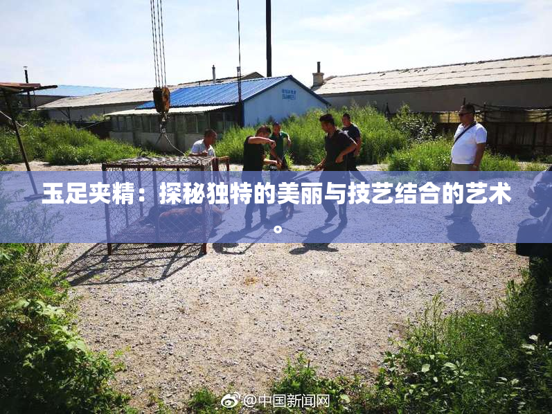 玉足夹精：探秘独特的美丽与技艺结合的艺术。