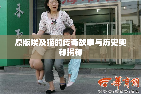 原版埃及猫的传奇故事与历史奥秘揭秘