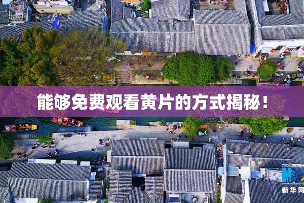 能够免费观看黄片的方式揭秘！