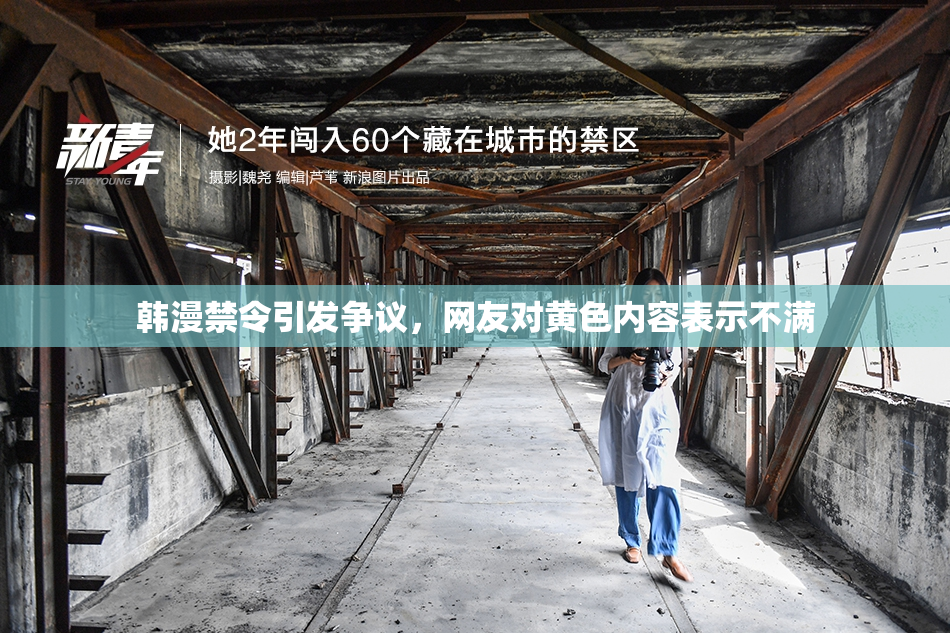 韩漫禁令引发争议，网友对黄色内容表示不满