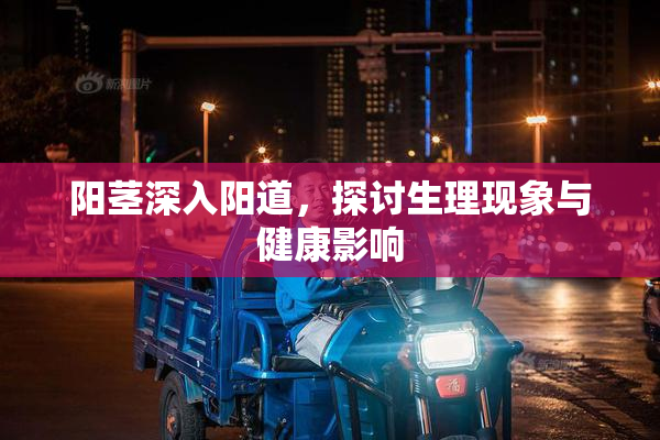 阳茎深入阳道，探讨生理现象与健康影响