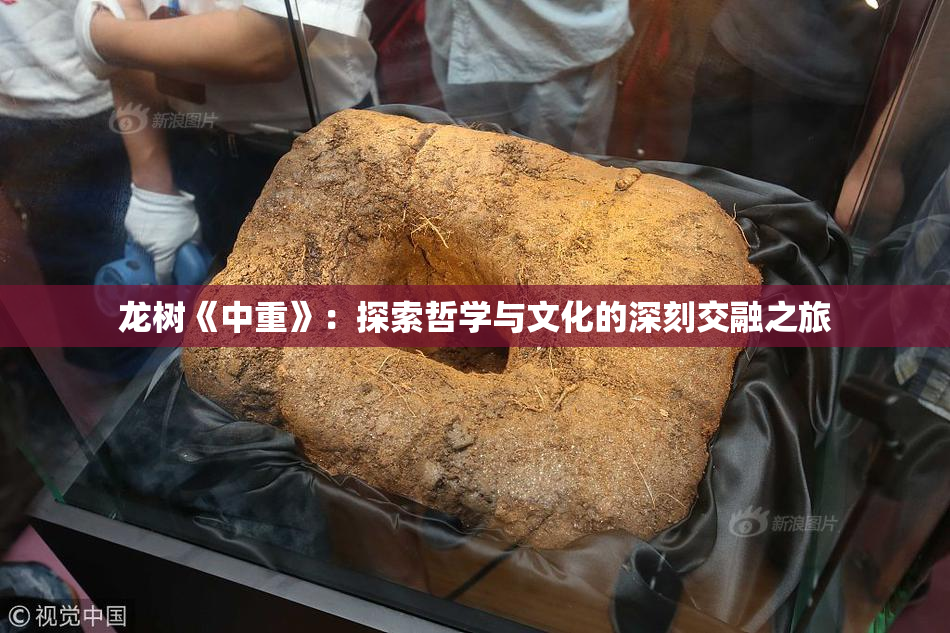 龙树《中重》：探索哲学与文化的深刻交融之旅