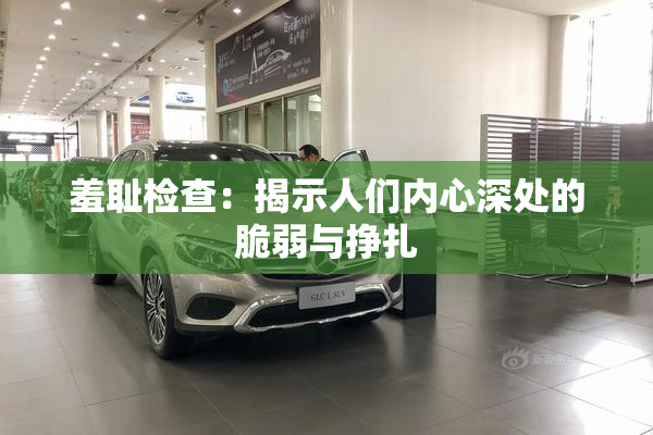 羞耻检查：揭示人们内心深处的脆弱与挣扎
