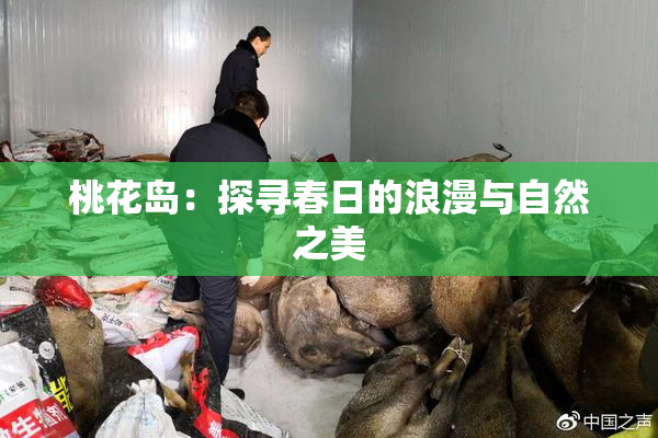 桃花岛：探寻春日的浪漫与自然之美