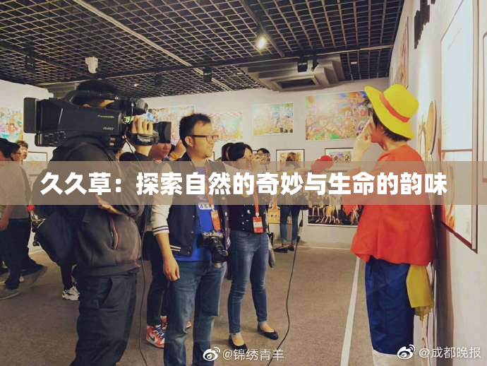 久久草：探索自然的奇妙与生命的韵味
