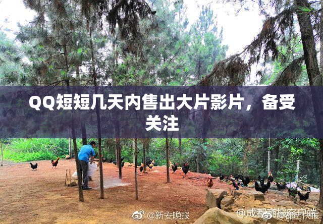 QQ短短几天内售出大片影片，备受关注