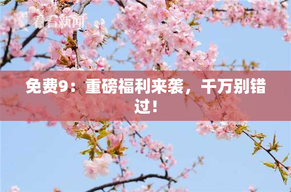 免费9：重磅福利来袭，千万别错过！