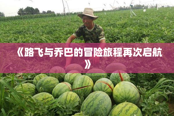 《路飞与乔巴的冒险旅程再次启航》