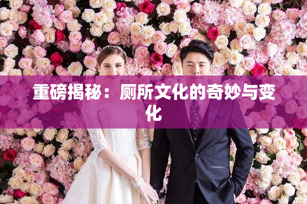 重磅揭秘：厕所文化的奇妙与变化