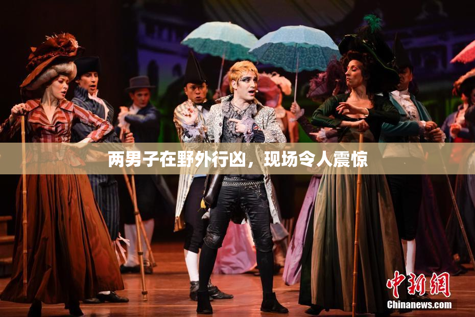 两男子在野外行凶，现场令人震惊