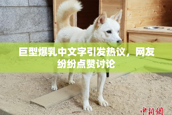 巨型爆乳中文字引发热议，网友纷纷点赞讨论