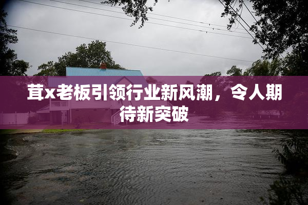 茸x老板引领行业新风潮，令人期待新突破