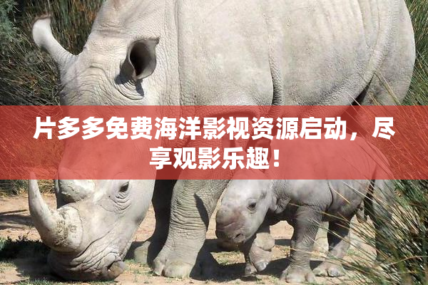 片多多免费海洋影视资源启动，尽享观影乐趣！